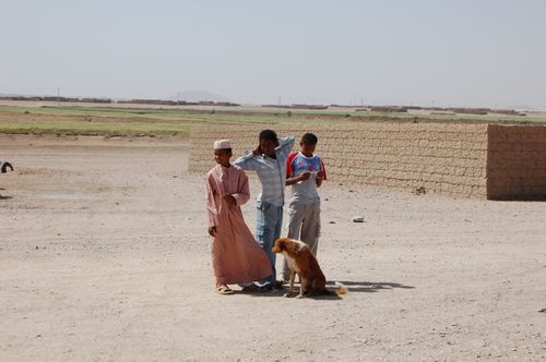 3 boys and a dog